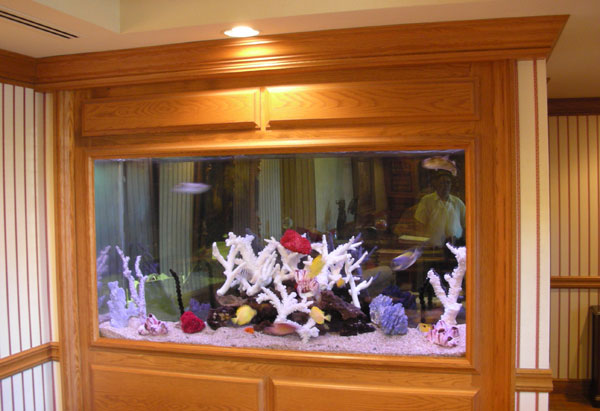 Commercial Aquarium